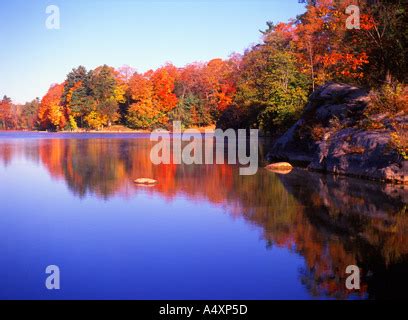 Laurel Lake lined with colorful fall foliage on an autumn morning near Lee, Massachusetts, New ...