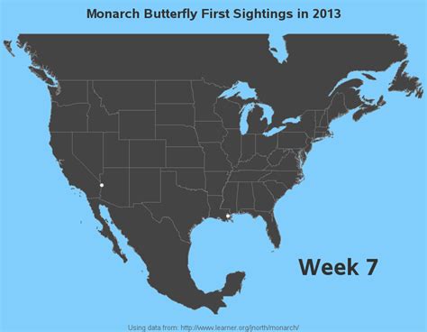Monarch Butterfly First Sightings in 2013