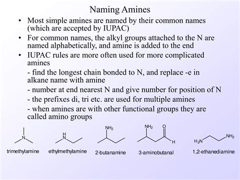 PPT - Structure and Classification of Amines PowerPoint Presentation, free download - ID:149946