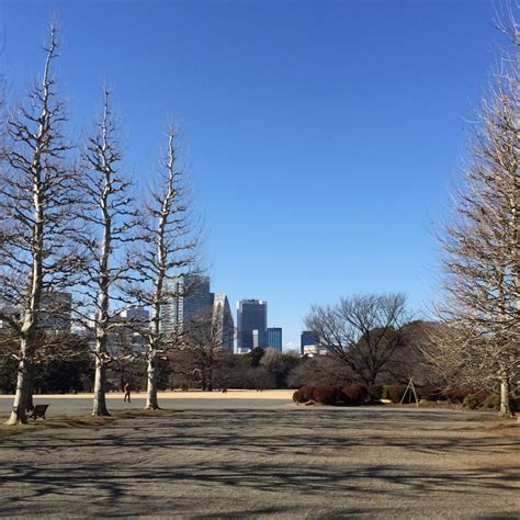 Shinjuku Gyoen (新宿御苑) in winter – Normal