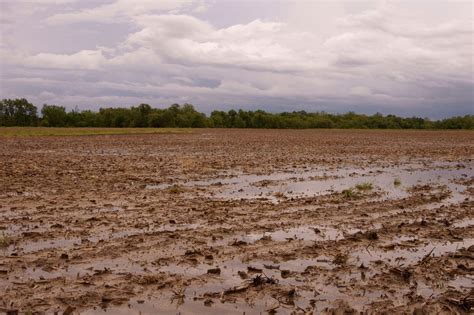 Leaching In Plants And Soil - What Is Leaching | Gardening Know How