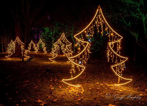 Rainbow Trees | Wimpole Christmas Lights 2023 | Geoff Murphy | Flickr