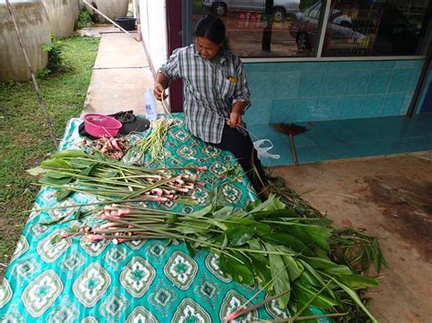 Connecting with Locals and Experiencing Village Life in Thailand - Dave's Travel Corner