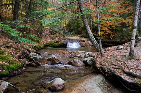 White Mountains Fall Foliage 268 by FairieGoodMother on DeviantArt