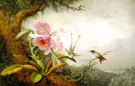 Hummingbirds and Orchids 1 by Martin Johnson Heade