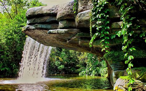 Waterfall Pond Vegetation Landscape Wallpaper