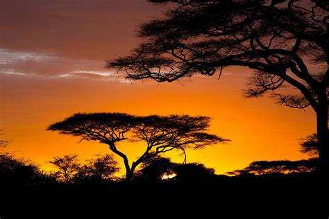 African Sunrise Wallpapers - Top Free African Sunrise Backgrounds ...