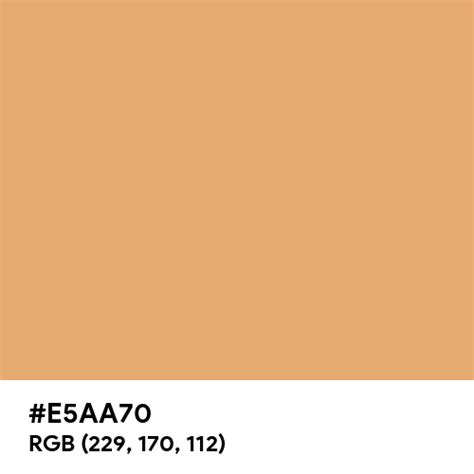 Fawn color hex code is #E5AA70