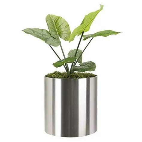 Stainless Steel Planters - Stainless Steel Planter Latest Price ...