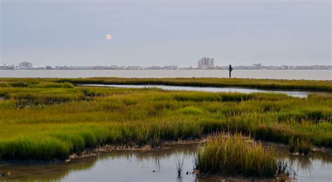 The Nature Conservancy's Legislative Priorities in Maryland