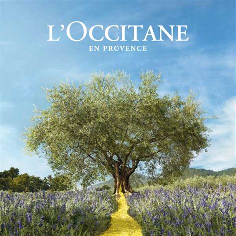 BBA Strategic Design & Management D&M Alum Moving Up at L'Occitane - BBA