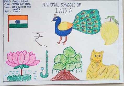 National symbols of India | Curious Times