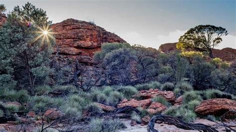 5 Day Larapinta Trail Trek - Departs Alice Springs - Adrenaline