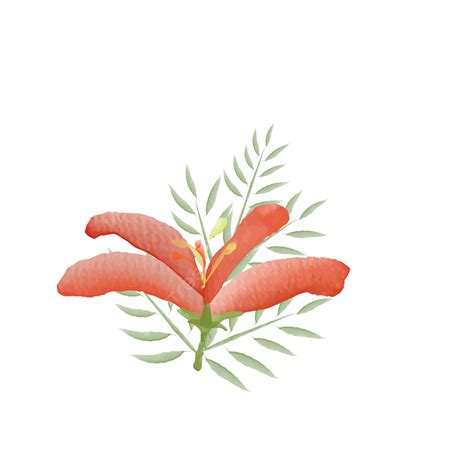 Phoenix Flower Vector Art PNG, Watercolor Phoenix Flower Design ...