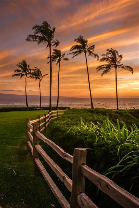 Spectacular Sunset Kapalua Bay - David Reimann Photography