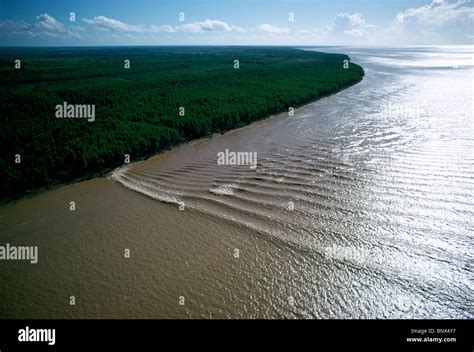 Pororoca brazil hi-res stock photography and images - Alamy