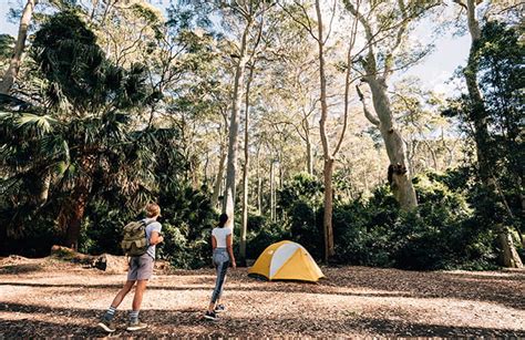 Best South Coast NSW campgrounds | NSW National Parks