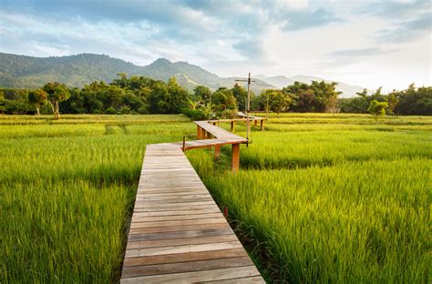 Top 9 Hotels in Chiang Rai (Budget & Luxury Options) - The Lost Passport