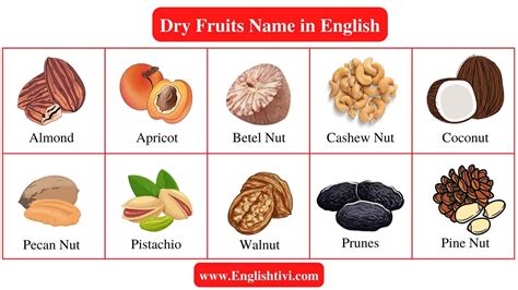 Dry Fruits Name in English with Pictures - Englishtivi