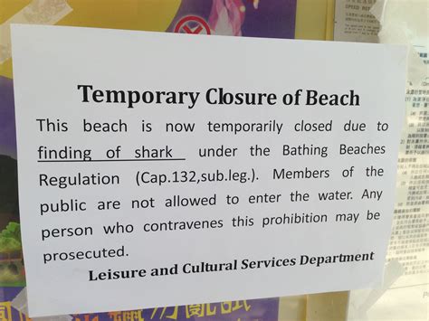 Shark sighting closes Lamma beaches for 24 hours | South China Morning Post