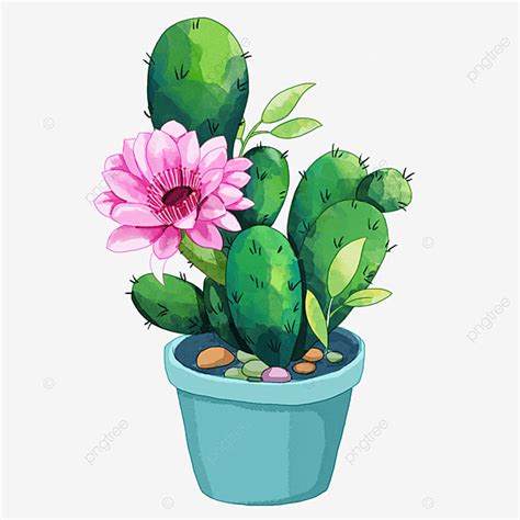 Cactus Flower Pot White Transparent, Potted Watercolor Cactus Flowering ...