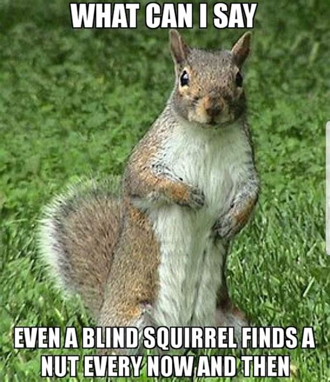 a squirrel standing on its hind legs in the grass with caption that ...