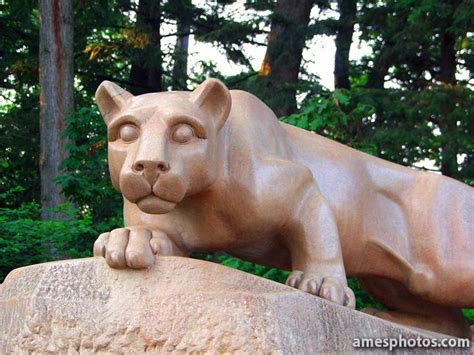 Classic Nittany Lion | Lions photos, Nittany lion, Lion