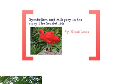 Symbolism and Allegory in The Scarlet Ibis by Sarah Jones