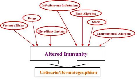 Dermatographism Causes - Healthy Skin Care