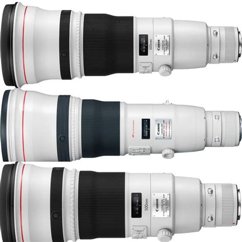 Best Canon Lenses for Wildlife Photography | Camera Times