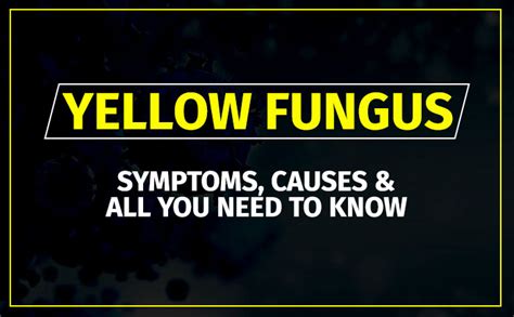 Yellow Fungus: Symptoms, Causes & All You Need To Know