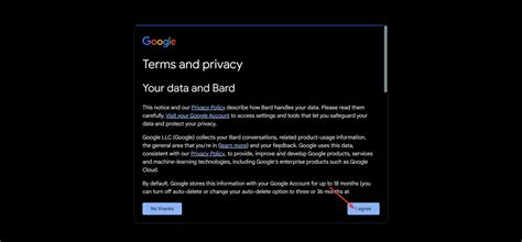 How to Access & Use Bard AI in India