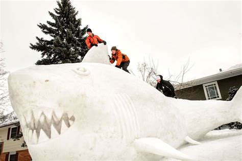 Minnesota Brothers Build Outdoor Sculpture Of A Great White Snow Shark
