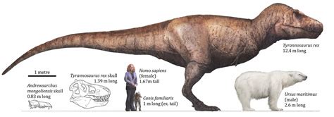 A Tarbosaurus hauling off a Therizinosaurus kill : r/Naturewasmetal