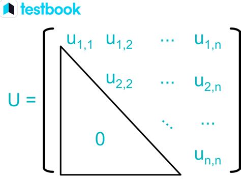 Upper & Lower Triangular Matrix: Determinant, Inverse & Examples