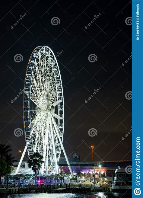 Night Photo Skyviews Miami at Bayside Ferris Wheel on the Bay Editorial Image - Image of ...