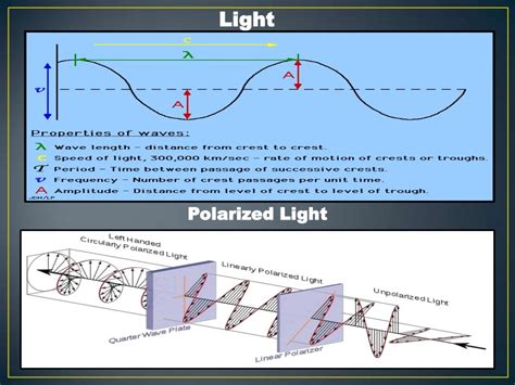 Circular Dichroism ppt,