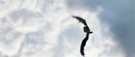 How To Train Your Dragon 2 Toothless GIFs | Tenor