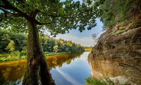 A view on the Gauja River at Gauja National Park