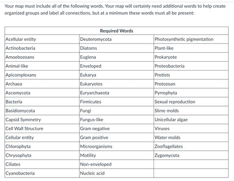 ho do i create a mind map connecting and interconnecting all of the terms listed