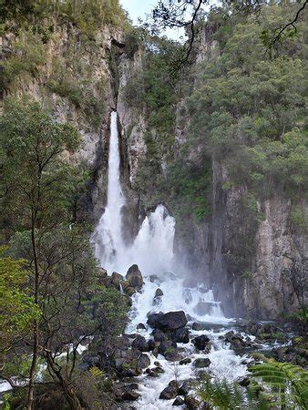 Tarawera Falls (Bay of Plenty Region) - Aktuelle 2019 - Lohnt es sich? (Mit fotos)