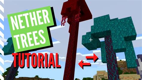 How To Grow NETHER TREES In Minecraft 1.16 - Minecraft videos