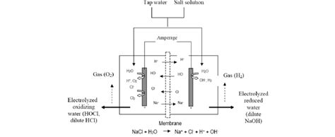 Schematics of electrolyzed water generator and produced compounds ...