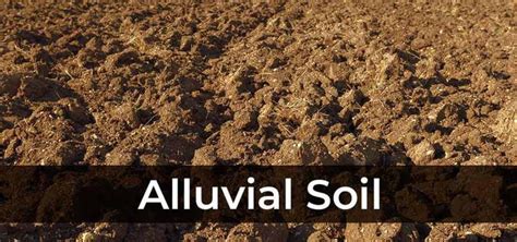 Why does Alluvial Soil differ in texture?