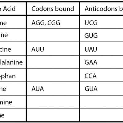 Anticodon Chart