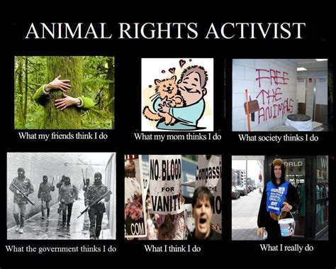 Animal rights (With images) | Animal rights activist, Animal activism, Animal activist