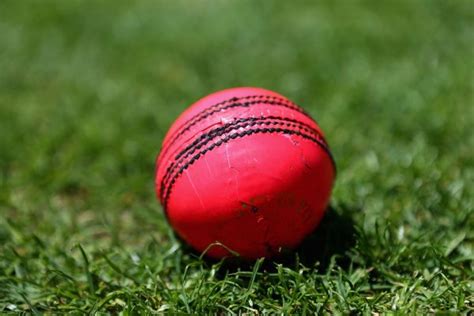 Cricket | India v England 3rd Test preview | Pink ball levels playing ...