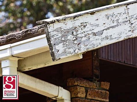 Rotten Fascia Boards: Causes and Prevention