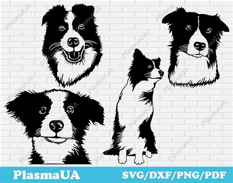 Cute Border Collie Svg Peeking Dog Svg File For Cricut Face ...