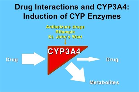 02.06.12(a): Drugs and the Liver